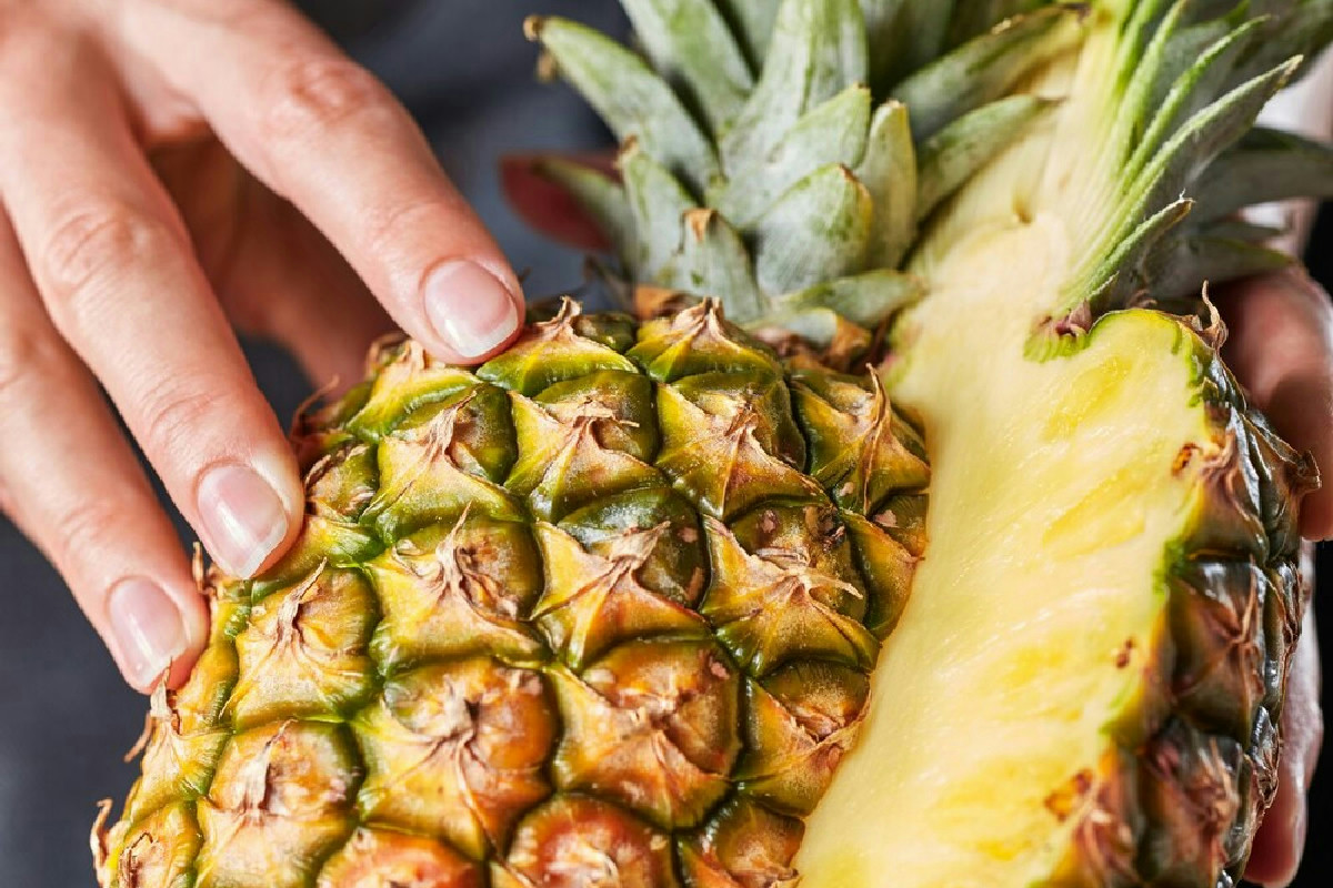 Il ciuffo dell’ananas diventa una pianta rigogliosa senza spese: guida passo passo per coltivarla
