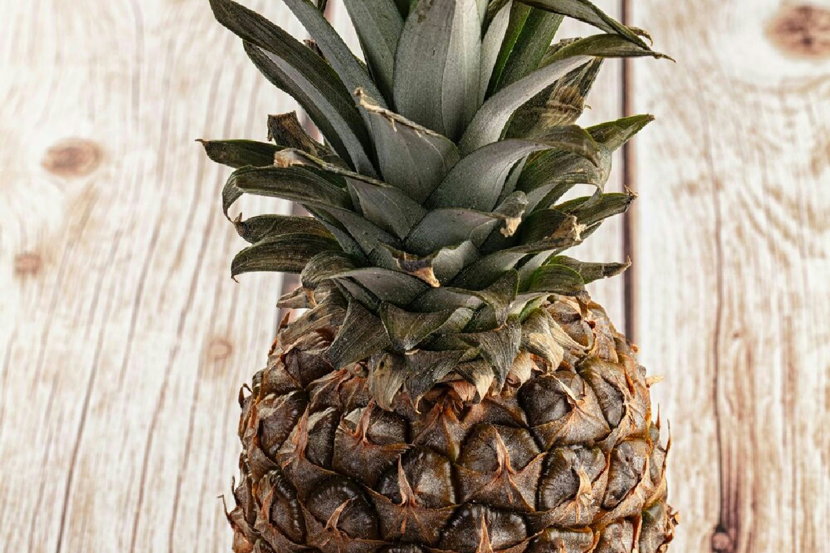 Il ciuffo dell’ananas diventa una pianta rigogliosa senza spese: guida passo passo per coltivarla