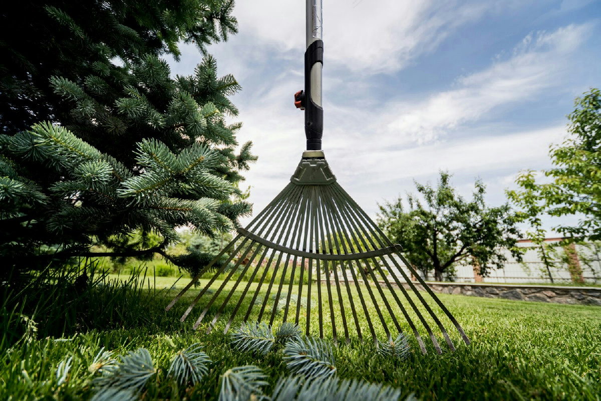 Creare un giardino facile da gestire e sempre curato: consigli pratici per uno spazio verde perfetto
