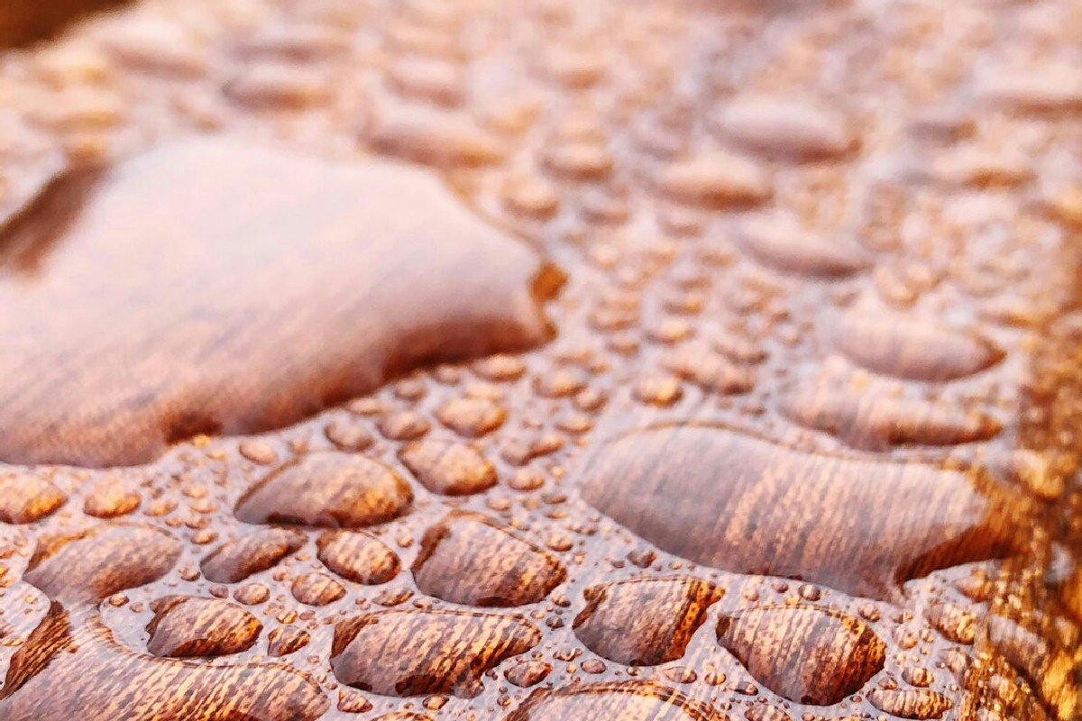 Perché l’acqua danneggia il legno e quali rimedi naturali preservano e valorizzano i mobili