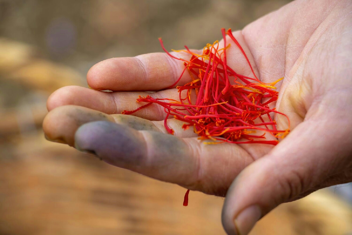 Proprietà dello zafferano per favorire rilassamento, chiarezza mentale e armonia emotiva naturale