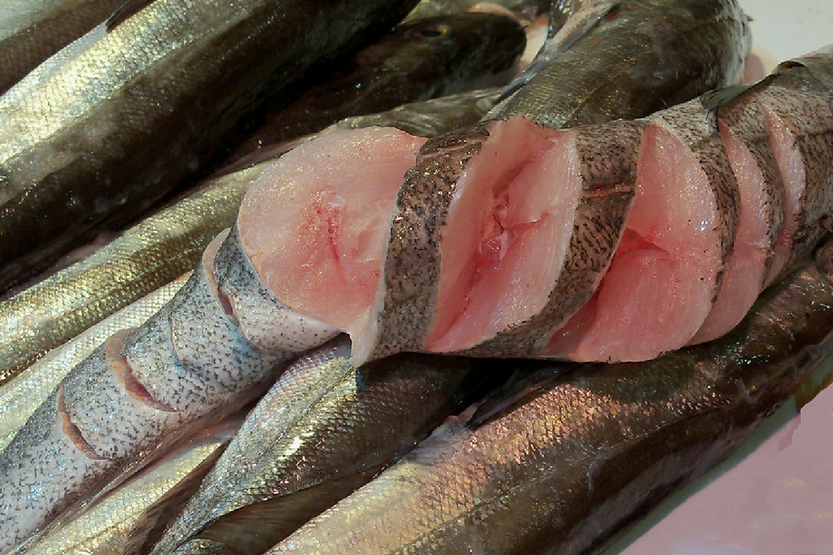 I rischi per la salute legati al consumo di pesce crudo non abbattuto e cosa comportano davvero